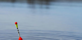 Jak skutecznie łowić metodą gruntową feeder?