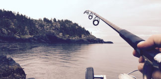 Niezbędnik początkującego wędkarza