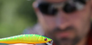 Jaką przynętę wybrać do ulubionej metody łowienia