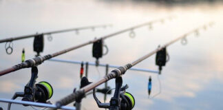 Najpopularniejsze komercyjne łowiska karpiowe w Polsce