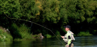 sprzęt do metody muchowej