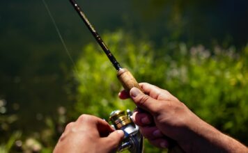 Najlepsze marki wędzek na rynku: ranking i porównanie