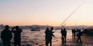 Jakie kołowrotki wybrać do łowienia na sumy - przegląd dostępnych modeli