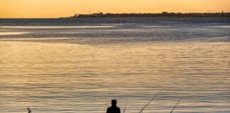 Najlepsze kołowrotki spinningowe dla początkujących - ranking i przegląd najpopularniejszych modeli.