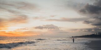 6. Jakie akcesoria wędkarskie są niezbędne podczas łowienia ryb z wędką spławikową?