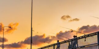 W jaki sposób dobrać odpowiednią żyłkę do wędki spinningowej?