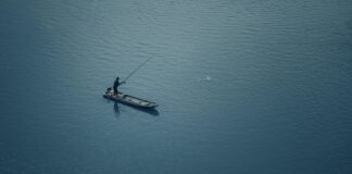 5. Jak łowić dorsze z brzegu?