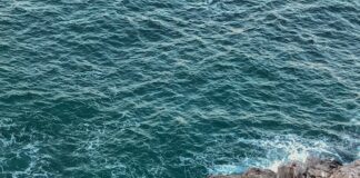 Jakie warunki atmosferyczne wpływają na skuteczność łowienia ryb przy użyciu wędek spławikowych?