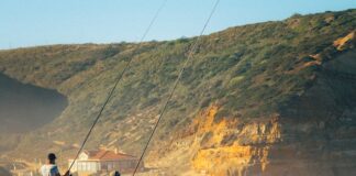 Jakie są najważniejsze czynniki wpływające na skuteczność łowienia ryb za pomocą wędki spinningowej?