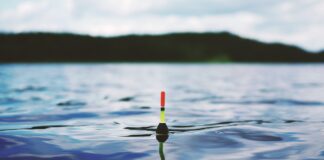 Jakie są podstawowe techniki łowienia ryb za pomocą wędki spinningowej?