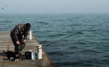 5. Jakie przynęty najlepiej sprawdzają się przy łowieniu ryb na wędkę spławikową?