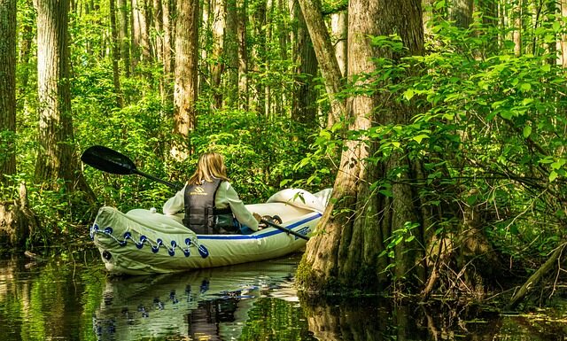 Na jakich polskich rzekach organizowane są spływy kajakowe? Na jakich polskich rzekach organizowane są spływy kajakowe?