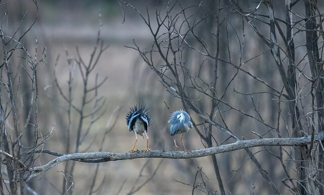 Jaki sprzęt na okonie? Jaki sprzęt na okonie?