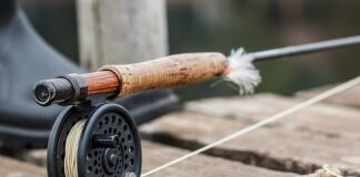 Jak łowienie metodą wertykalną?