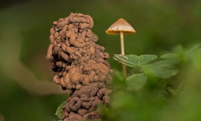 Ile można mieć robaków na zawodach? Ile można mieć robaków na zawodach?