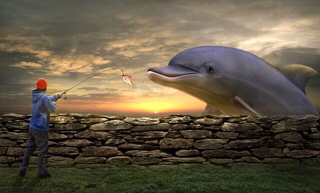 Co jest lepsze żyłka czy plecionka?