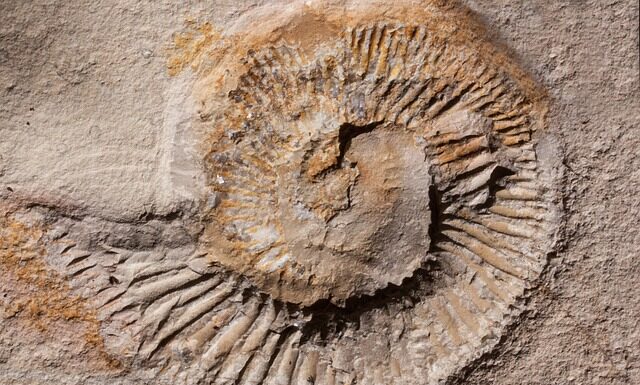 Jak szukać ryb na Deeper?