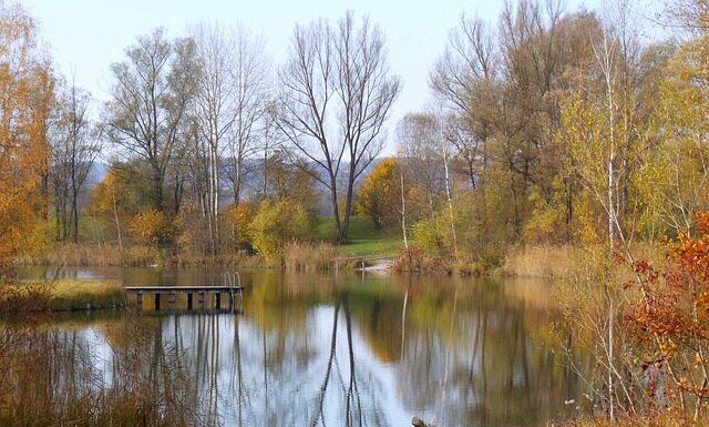 Jaki gruby fluorocarbon na okonia?