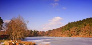 W jakiej temperaturze zamarza plecionka?