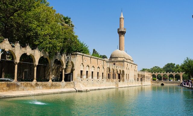 Jaka żyłka karpiowa do wywózki?