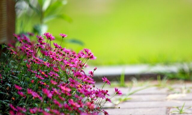 Co łowić w lipcu z plaży?
