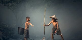 Czy ryby mogą jeść chleb? Czy ryby mogą jeść chleb?