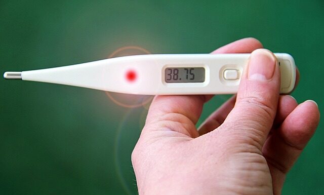 Jaki numer haczyka na karpia?