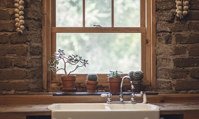 Czy czosnek wabi ryby? Czy czosnek wabi ryby?