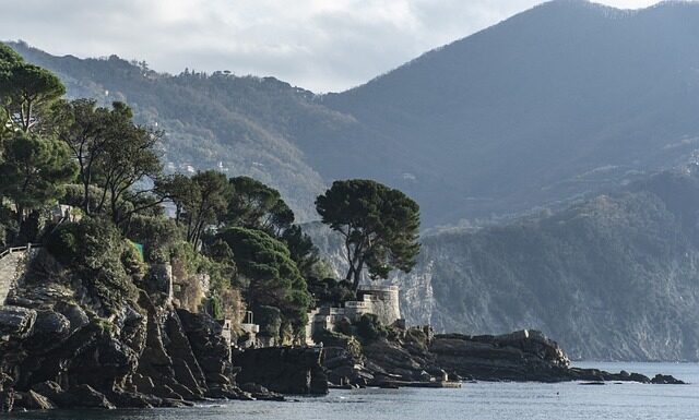 Ile kosztuje t shirt z nadrukiem?