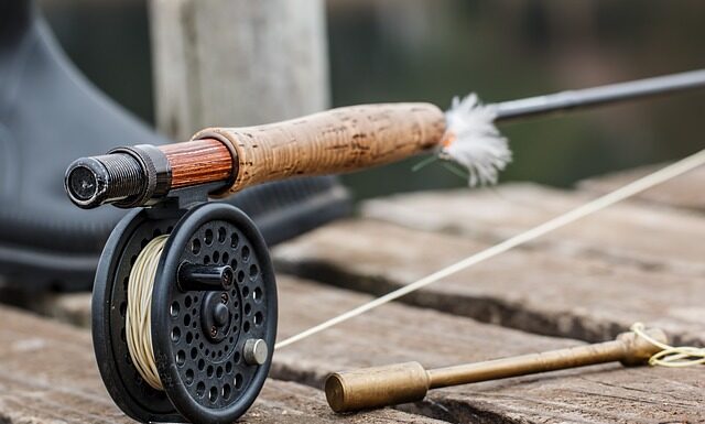 Co to znaczy łowienie w toni?