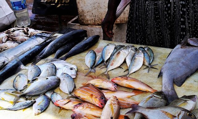 Jak sprawdzić grunt na łowisku?