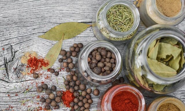 Jak ustawić echosondę Garmin?