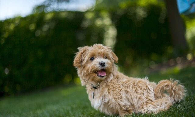 Jakie spodnie na upały?