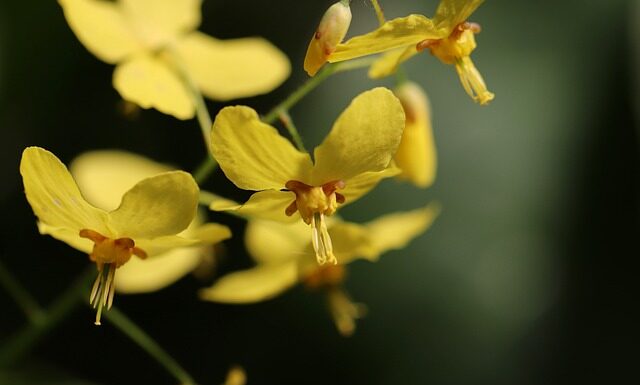 Z czego są najcieplejsze skarpetki?