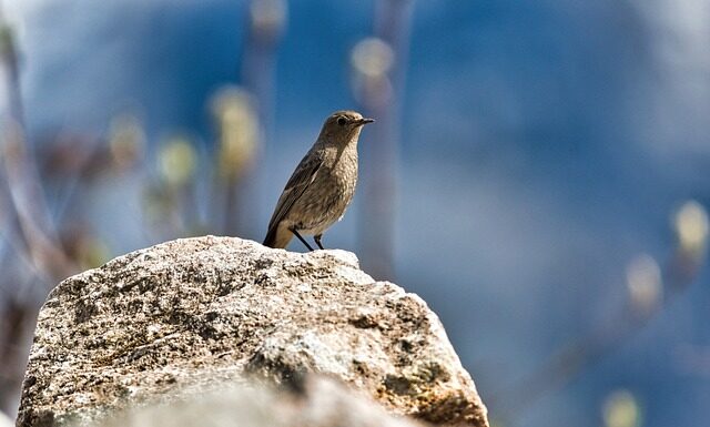 Jak pozbyć się pleśni z kubka?