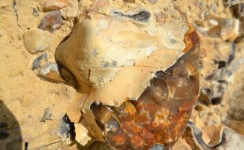 Jak sprawdzić czy to krzemień? Jak sprawdzić czy to krzemień?