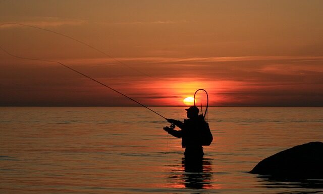 Na jaką przynętę łowić lina?
