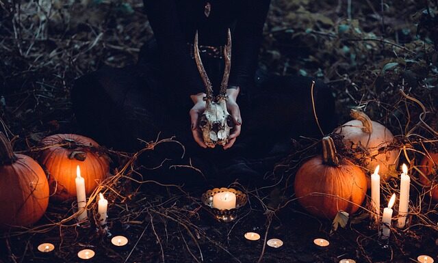 Co to jest system Dyna Sys?