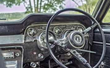 Ile kilometrów jest w stanie przejść pies?