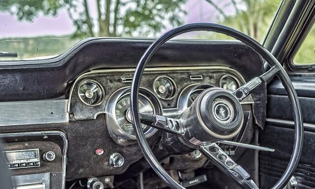 Ile kilometrów jest w stanie przejść pies? Ile kilometrów jest w stanie przejść pies?