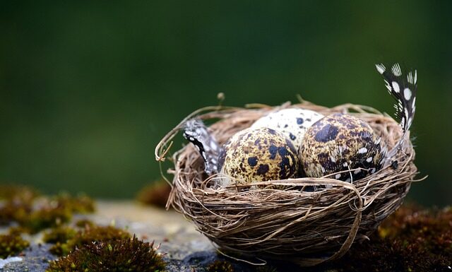 Czy prośbę o przerwę na żądanie można wycofać tylko do momentu w którym zabrzmi sygnał na te przerwę?