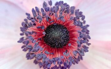 Kto miał grać Jacka Sparrowa? Kto miał grać Jacka Sparrowa?