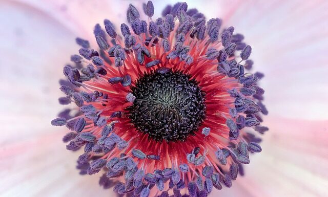 Kto miał grać Jacka Sparrowa?