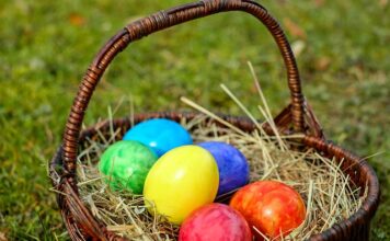 Jaki koszyk do dalekich rzutów?