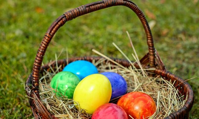 Jaki koszyk do dalekich rzutów? Jaki koszyk do dalekich rzutów?