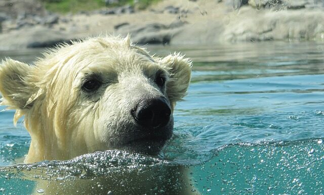 W czym pływa 2 latek? W czym pływa 2 latek?
