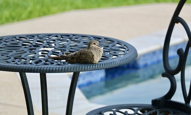 Ile czasu na basenie z niemowlakiem? Ile czasu na basenie z niemowlakiem?
