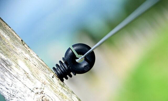 Ile Polaków gra w NBA? Ile Polaków gra w NBA?