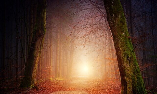 Kiedy najlepiej chodzić z kijkami?