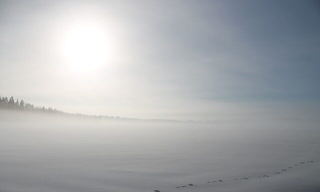 Czy z wiatrówki można zabić zająca? Czy z wiatrówki można zabić zająca?